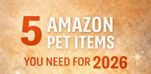 screenshot 2026 01 11 224955